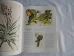 RIX, Martyn (introduction by) - Art in Nature. Over 500 Plants illustrated from Curtis's Botanical Magazine.