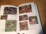 Knystautas, Algirdas - Birds of Russia
