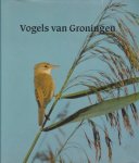 Boekema,E.J. ( red. ) - Vogels van Groningen
