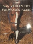 J. Lorch - Van veulen tot volwassen paard een praktische gids vol informatie over de verzorging en de opvoeding van het paard