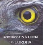 Schelvis, Jan en Arno ten Hoeve - Roofvogels & Uilen in Europa