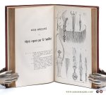 Collectif - Bulletin de la Société Royale de Géographie d'Anvers. Tome X: 9e Année1885-1886.
