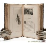 La Fontaine - Psyché. Publié par D. Jouaust. Compositions d'Émile Lévy, gravés à l'eau-forte par Boutelié. Dessins de Giacomelli gravés sur bois par Sargent.