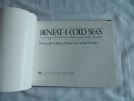 Rotman, Jeffrey L. (photography) & Barry W. Allen (text) - Beneath Cold Seas: Exploring Cold-Temperate Waters of North America