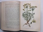 Dammann, Carl. - Die Gesundheitspflege der landwirtschaftlichen Haussäugetiere. Praktisches Handbuch. Dammann, Carl. - Die Gesundheitspflege der landwirtschaftlichen Haussäugetiere. Praktisches Handbuch.