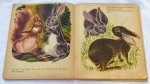 verteld door Duif / illustraties van Ali Evers - De Koningshoed, verteld door Duif/Illustraties van Ali Evers