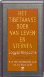 Sogyal Rinpoche, Patrick Gaffney - Het Tibetaanse boek van leven en sterven