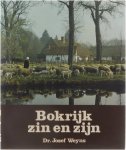 Jozef Weyns Willy Minders - Bokrijk, zin en zijn