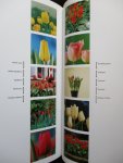 Sloot, Hans van der - Tulp 400 jaar.