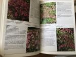 Wim Oudshoorn - Vaste planten / druk 5