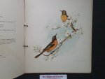 Susie Barstow Skelding - ill. Fidelia Bridges - Songsters of the Branches