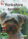 A. Koster - Yorkshire terrier / Over Dieren