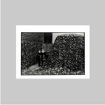 Tuach, Rod (Dublin, 1945). - Six views of Ireland.