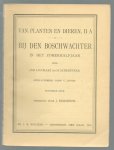 Ligthart, Jan., H. Scheepstra ( Ill C. Jetses) - Van planten en dieren.  II A.., Bij den Boschwachter in het zomerhalfjaar.