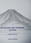 Swaving, Justine - Splinters van voorbije levens