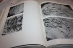 Spinar, Zdenek V. - Tertiary Frogs from Central Europe