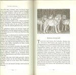 Recheis, Käthe met Bildern von Karen Holländer - Wolfsaga