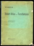 HEMPEL, G. / WILHELM, K. - Kleiner Bilder-Atlas zur Forstbotanik. Textabbildungen aus dem Werke: Die Bäume und Sträucher des Waldes von G. Hempel und K. Wilhelm. Mit 294 Textfiguren