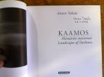 Takala, Antero - Kaamos