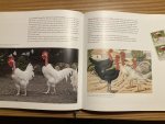 Schippers, Hans L. / Simons, Piet C.M. / Borst, Pieter. - GALLINAS CHICKENS. Historia, arte, razas. History, art, breeds Schippers, Hans L. / Simons, Piet C.M. / Borst, Pieter. - GALLINAS CHICKENS. Historia, arte, razas. History, art, breeds