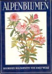 Weisz, Josef - Alpenblumen