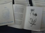 Groenestijn, Frits. - Introduktiekursus Homeopathie (deel A1 t.e.m. A3) en Basiskursus Homeopathie (deel B1 t.e.m. B18).