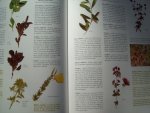 Andi Clevely & Katherine Richmond - "Plantes & Herbes Aromatiques"  Connaître et préparer