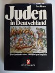 Leo Sievers - JUDEN IN DEUTSCHLAND - die geschichte einer 2000 jährigen Tragödie