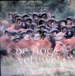 Beukhof, Henk & Frieda van Essen & Elio Pelzers & Jan Sevink - De Hoge Veluwe: natuur en kunst