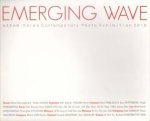 SHIN Hyekyung (essay) - Emerging Wave. Asean-Korea Contemporary Photo Exhibition 2010