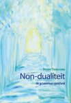 [{:name=>'Douwe Tiemersma', :role=>'A01'}] - Non-dualiteit