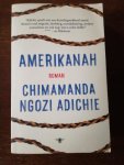 Adichie, Chimamanda Ngozi - Amerikanah