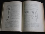 Behrens, W. & A.Kossel & P.Schieffendecker - Die Gewebe des Menschliches Korpers, Zweiter Band Gewebelehre mit besonderer Berücksichtigung des Menschliches Korpers mit 214 Text-Abbildungen Behrens, W. & A.Kossel & P.Schieffendecker - Die Gewebe des Menschliches Korpers, Zweiter Band Gewebelehre mit besonderer Berücksichtigung des Menschliches Korpers mit 214 Text-Abbildungen