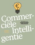 Robert Elsing - Commerciele intelligentie