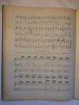 Steenhuis, H.P. - Harmoniumspeler. Theoretisch-practische handleiding voor het leeren bespelen van het Amerikaansch Orgel.