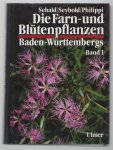 Martin Nebel - Bd 1 - Allgemeiner Teil ; Spezieller Teil (Pteridophyta, Spermatophyta)