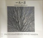 Shinzo Maeda 35905 - Arbres et brindilles
