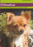 - Chihuahua
