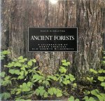 David Middleton - Ancient Forests A Celebration of North America's Old-Growth Wilderness