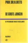 Beets, N. - De grote jongen: De psychologie van de jongen in de vlegeljaren.