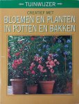 Karlheinz Jacobi - Creatief met bloemen en planten in potten en bakken - Karlheinz Jacobi