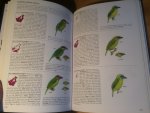 Myers, Susan - A field guide to the Birds of Borneo (Sabah, Sarawak, Brunei and Kalimantan)