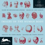 [{:name=>'Pepin van Roojen', :role=>'A01'}] - Images Of The Human Body