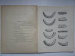 Pomel, A.. - Paléontologie monographies/ les hippopotames; carte géologique de l'Algérie.