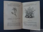 Langlois, Hippolyte - Le nouveau jardinier fleuriste. Ouvrage contenant avec les principaux arbres d'ornement, la nomenclature des fleurs de parterre, de bordure, de massif, de pelouse, de serre, de bassin, d'appartement et de fenêtre, avec la culture spéciale pour...