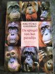 Galdikas, Biruté M.F. - De spiegel van het paradijs / mijn jaren bij de orang-oetans van Borneo