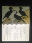 Marschall, J. & E.C.Kinsky & C.J.R. Robertson - Common Birds in New Zealand, Mountain, bush & shore birds