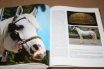 Arnim Basche - Geschichte des Pferdes