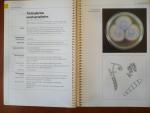 Rohde Bernward - Hartman Gabriele Haude D. Kessier H.J. Langen M.I. - Introducing Mycology by examples.