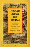 Hans van Hulst - Morgen bloeit het diabaas De Antilliaanse volksklasse in de Nederlandse samenleving